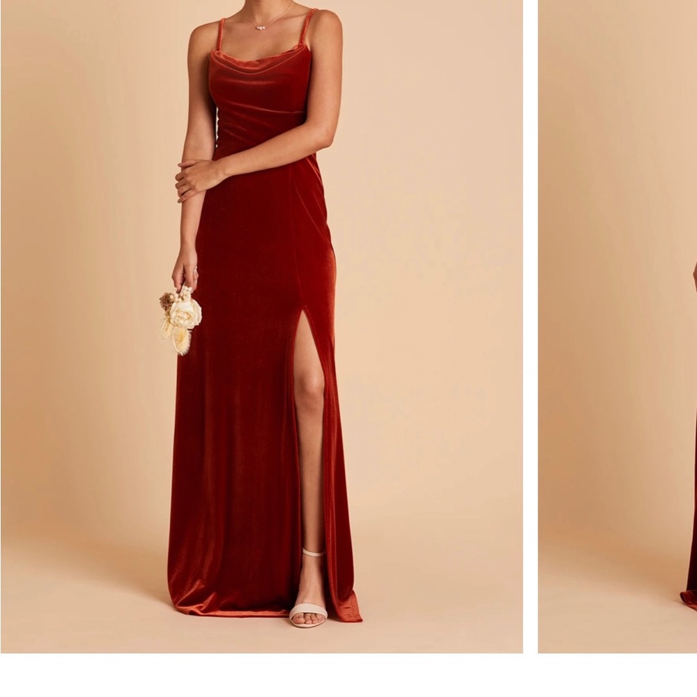 Birdy Grey velvet burnt orange dress